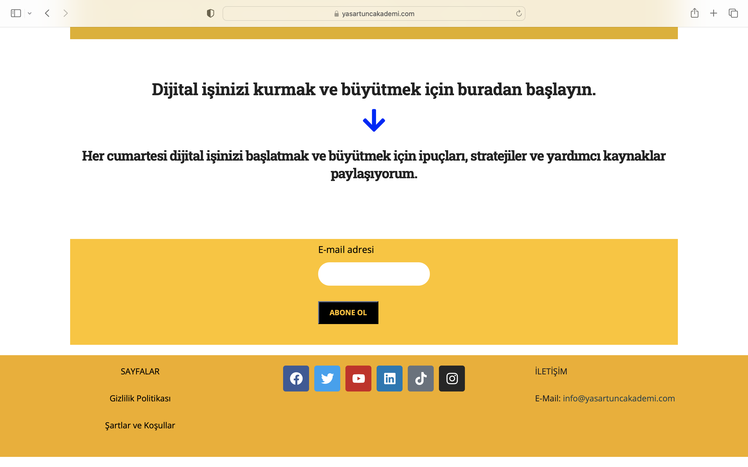 Yaşar Tunç Akademi Websitesi